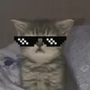 matizoch12