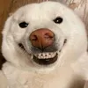 biatofflane
