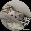 t__an4
