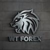wtforex.academy