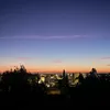 xlolax_91