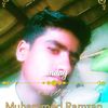 user2445493420271