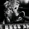 kirill_0548