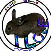 levyar.khilo