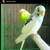 parwathy.parwathy40