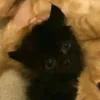 lyanajtz9l9