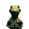 itzzz_kermit