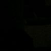 popcorn_541