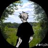 ggsbro07