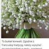 kama.kama286