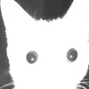 zepp_kaka