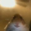 bombastik_say0