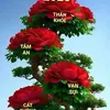 thanh.tng2926