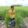 Petani mesuji🌾