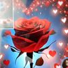 user4812090019773