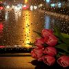 ni_ny.135
