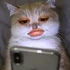 louu695