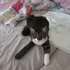 teyyolino