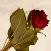 abthal4734