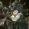 zelarty_kazual