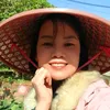 Phượng Lạc Quan 2