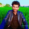 zafarchohan6796