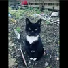 emily_preppycatlovr