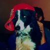 leavemetothewolv3s