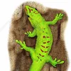 thedaygecko