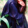 armim811