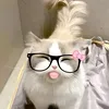 4ykieshia