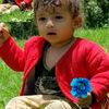 selh735