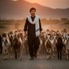 masawood.khan18