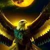 ali__zor3
