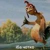 bakacfhc