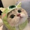 suho13847