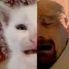 m0jito_0104