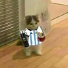 kuchau.fiuuumba