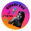 gilver.antonio.tu