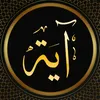 soma.ahmad995