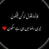 لا حول ولا قوة الا بالله