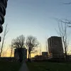 saarrrrr_0