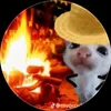 chicovieira668