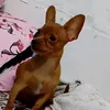 tikynho05