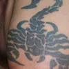 omy5593
