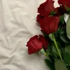 lidia.vidal2