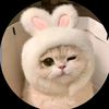 ✨آيـ👸ـه حاسبه✨