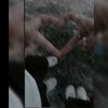 mariflores270