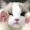 ana.fitriyah.2907