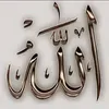 user2109211074536